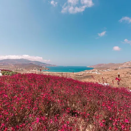 Mega Mansions Mykonos 别墅