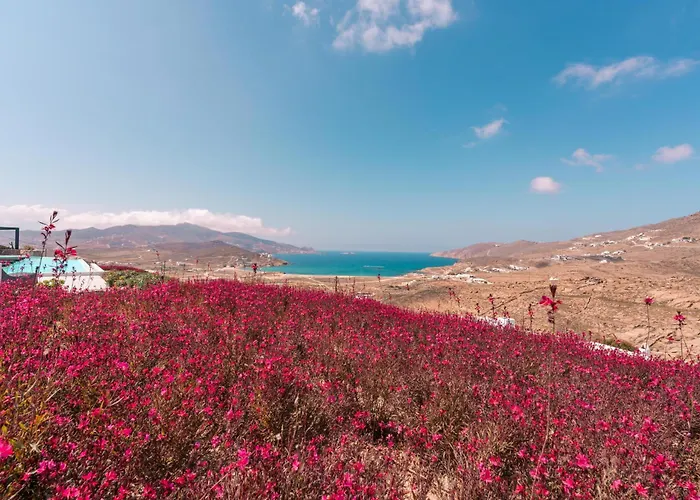 Mega Mansions Mykonos Вилла