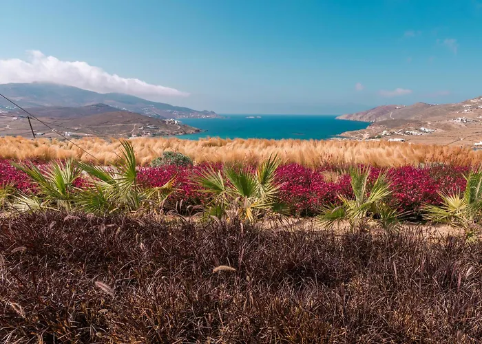 Mega Mansions Mykonos 别墅