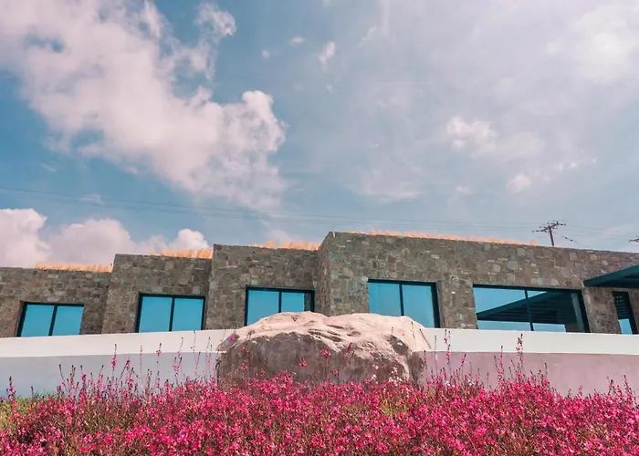 Mega Mansions Mykonos 法蒂亚