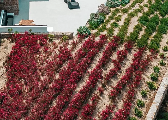 别墅 Mega Mansions Mykonos